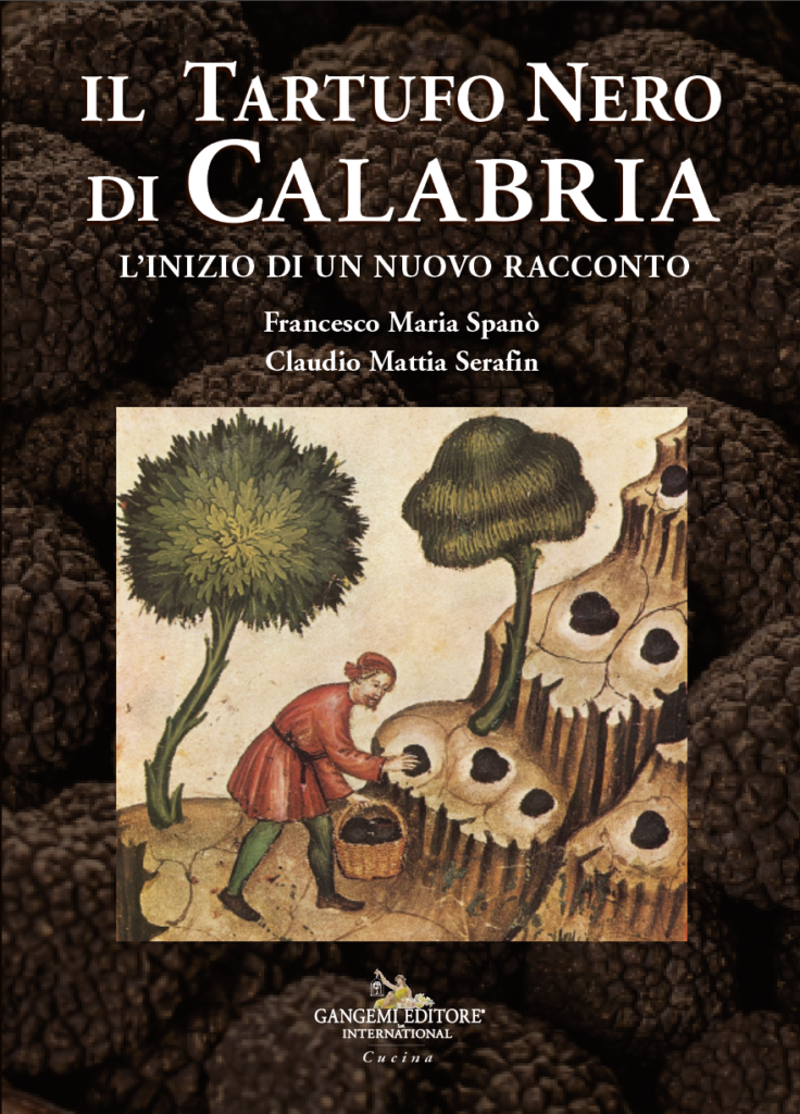 tartufo nero di calabria - Meraviglie di Calabria - 2