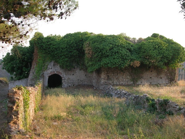 19195 ruderi del convento dei cappuccini xvi secolo - Meraviglie di Calabria - 12