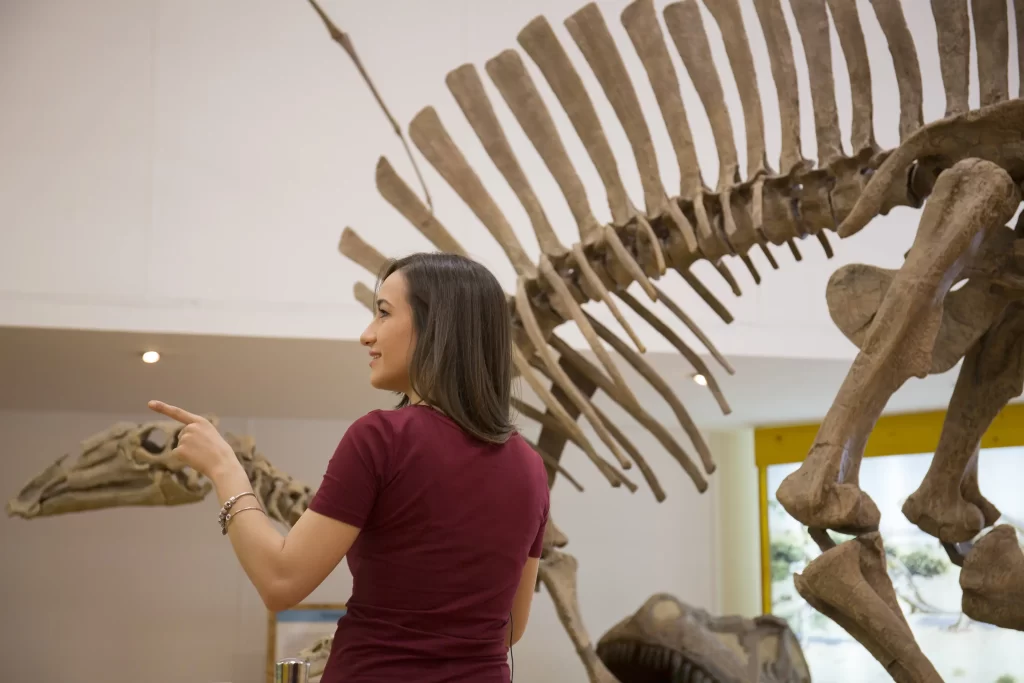 Museo paleontologia - Meraviglie di Calabria - 2