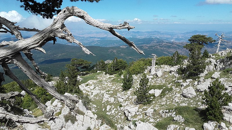 parco pollino - Meraviglie di Calabria - 4