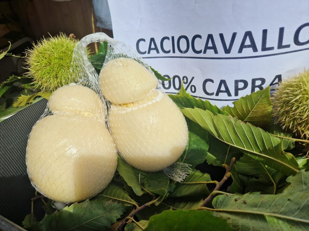 Caciocavallo di capra - Meraviglie di Calabria - 6