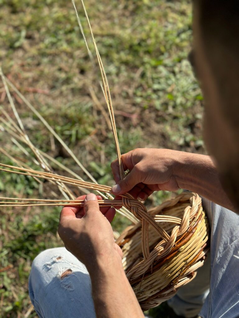 Cestaio Andrea Perrotta 9 - Meraviglie di Calabria - 8