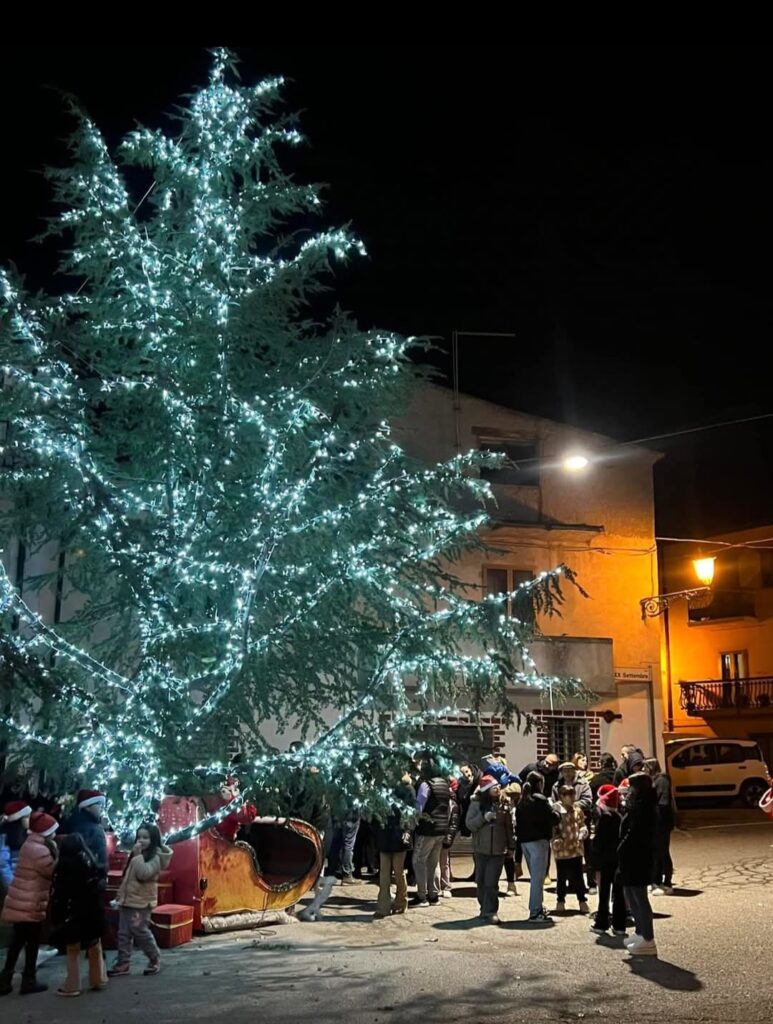 MANDATORICCIO ALBERI 3 - Meraviglie di Calabria - 10