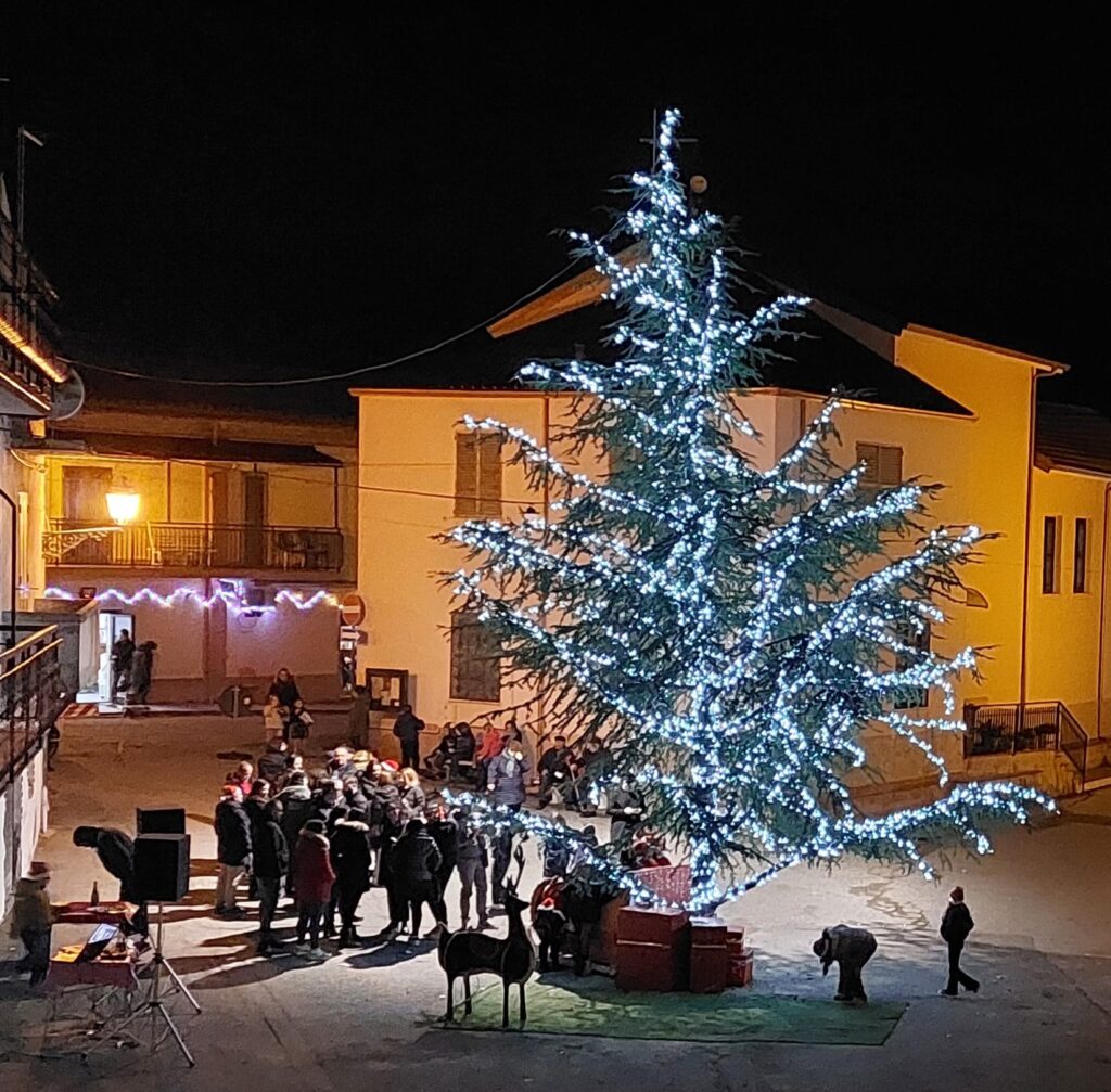 MANDATORICCIO ALBERI 4 - Meraviglie di Calabria - 4