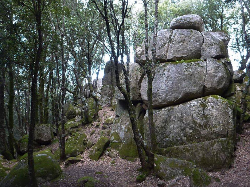 megaliti nardodipace 1 - Meraviglie di Calabria - 6