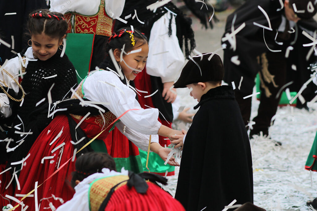 Carnevale Castrovillari 2 - Meraviglie di Calabria - 12