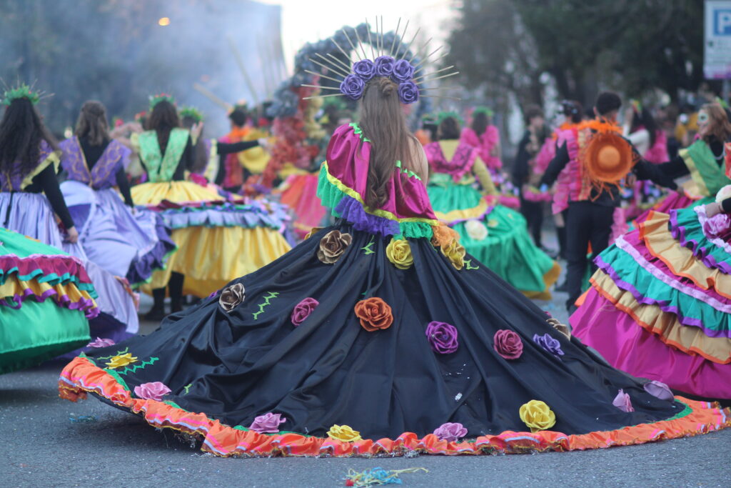 Carnevale Castrovillari 7 - Meraviglie di Calabria - 18