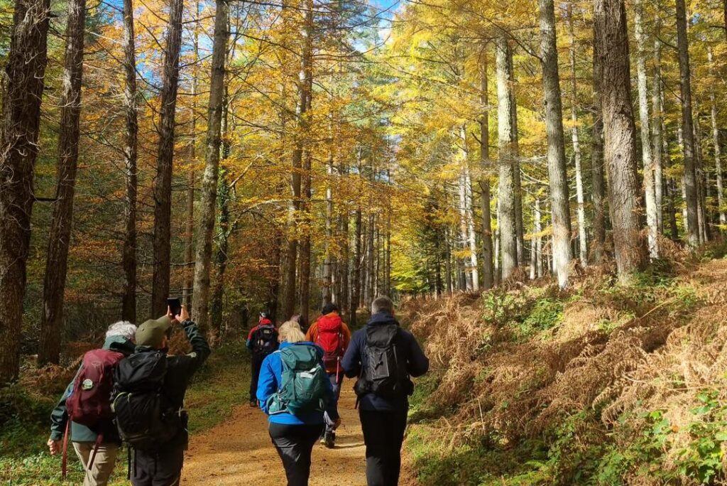 Natura bosco escursioni Parco regionale delle serre 1 - Meraviglie di Calabria - 4